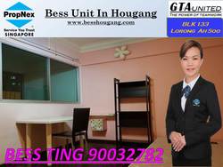 Blk 133 Lorong Ah Soo (Hougang), HDB Executive #165998902